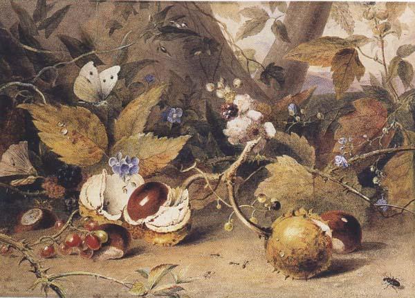 Elizabeth Byrne Still-life with horse chestnuts and insects (mk47) Germany oil painting art